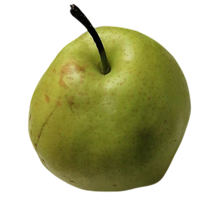 【爆甜】山西玉露香梨