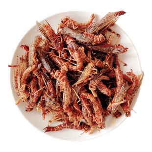 敬汉卿同款 秘制蚂蚱