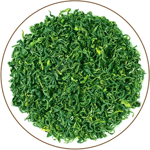 正宗日照绿茶今年新茶