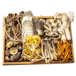 七彩菌汤包羊肚菌干货