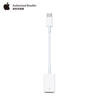 Apple/苹果 USB-C 至 USB 转接器