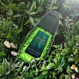 Pino Silvestre林中松树香水125ml