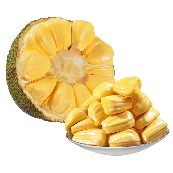 10点开始:鲜贡园 海南三亚新鲜黄肉菠萝蜜 15-20斤