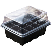 Three pieces of 12 hole plastic seedling box + seedling block seedling tray sowing