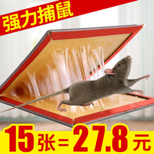15张老鼠贴超强力粘鼠板日本版抓大老鼠夹药灭鼠胶家