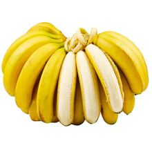 Fresh banana fruits picked in season