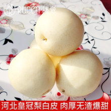 Huangguan pear and snow pear 10 jin fresh